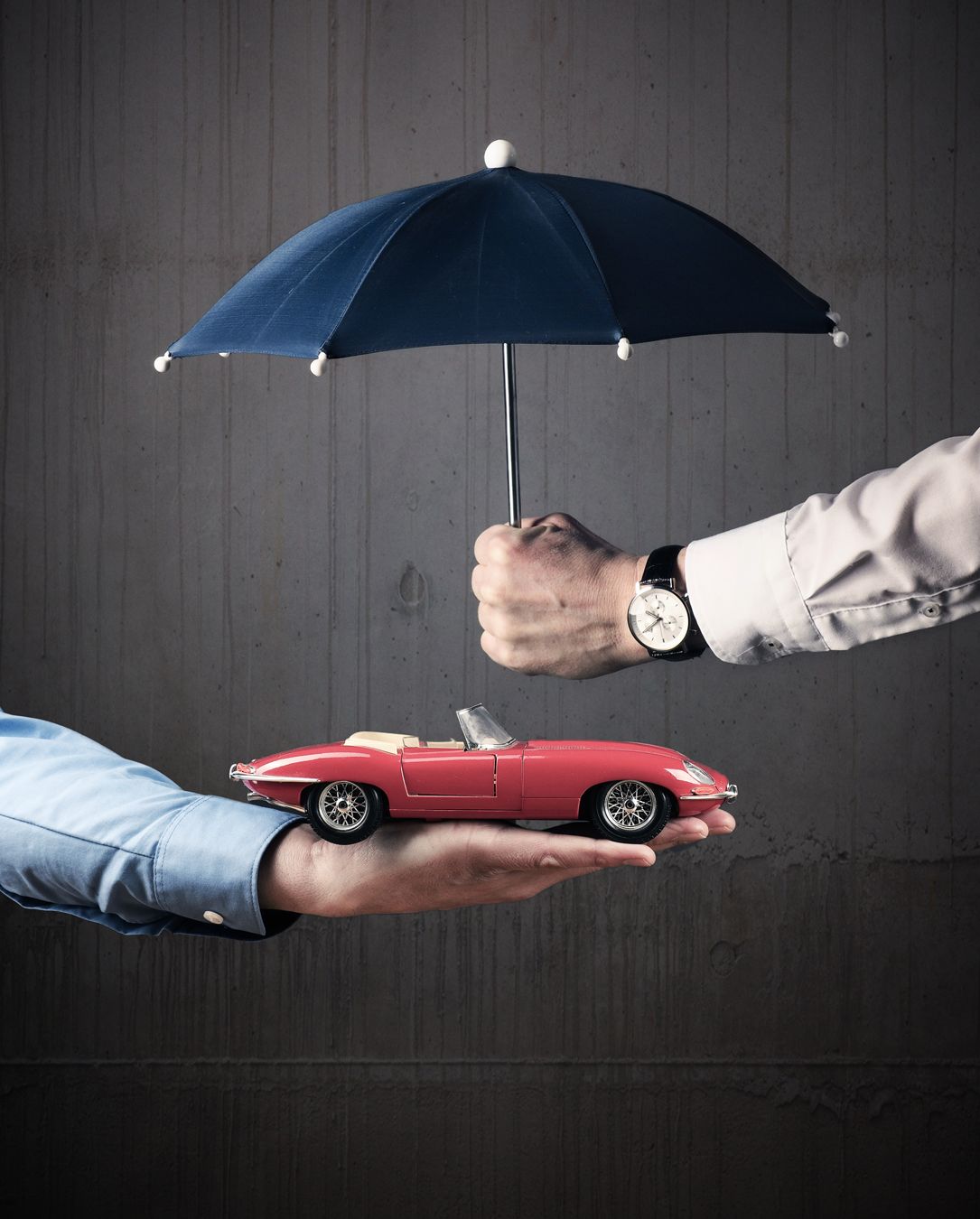 Vehicle and Asset Insurance